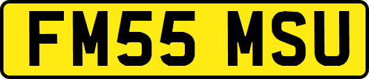 FM55MSU