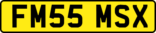 FM55MSX