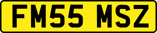FM55MSZ