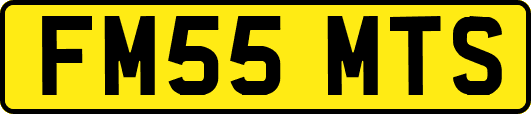 FM55MTS