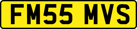 FM55MVS