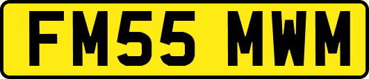 FM55MWM