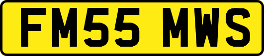 FM55MWS