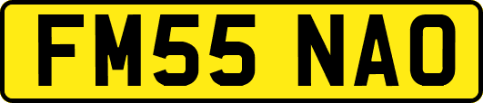 FM55NAO