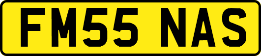 FM55NAS