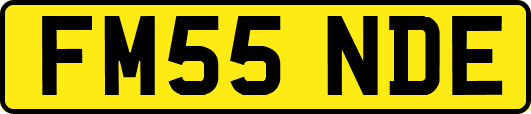 FM55NDE