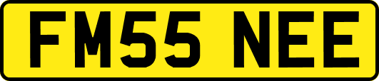 FM55NEE