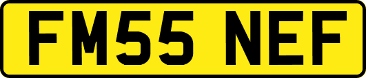 FM55NEF