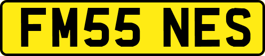 FM55NES