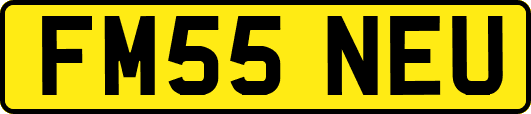 FM55NEU