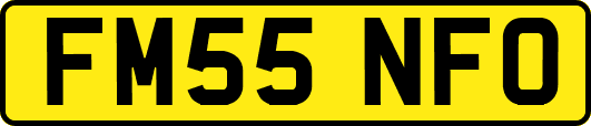 FM55NFO