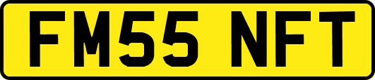 FM55NFT