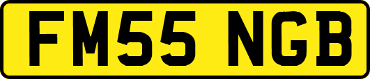 FM55NGB