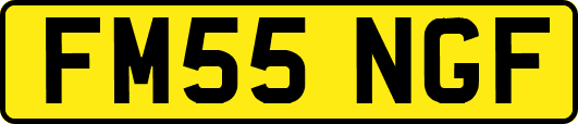 FM55NGF