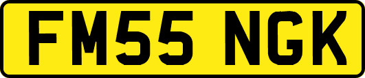 FM55NGK