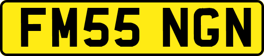 FM55NGN
