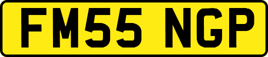 FM55NGP