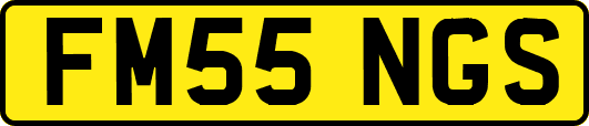 FM55NGS