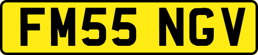 FM55NGV