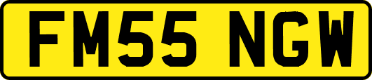 FM55NGW