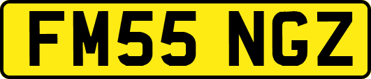 FM55NGZ