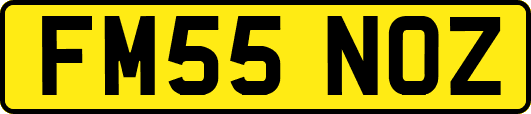 FM55NOZ