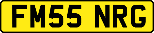 FM55NRG