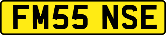 FM55NSE