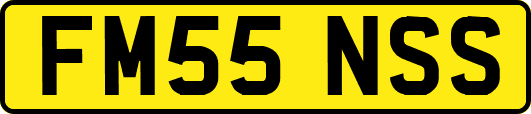 FM55NSS