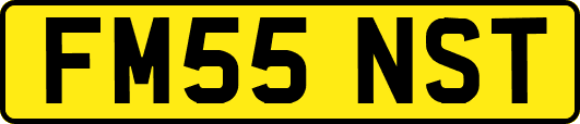 FM55NST