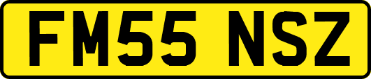 FM55NSZ