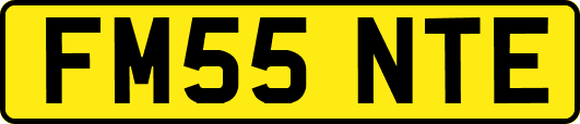 FM55NTE