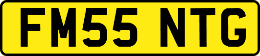 FM55NTG