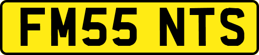 FM55NTS