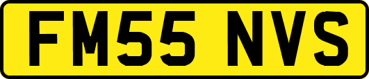 FM55NVS