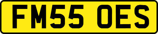 FM55OES