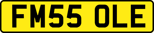 FM55OLE