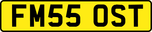 FM55OST