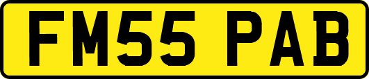 FM55PAB