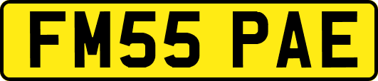 FM55PAE