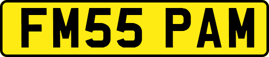 FM55PAM
