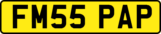FM55PAP