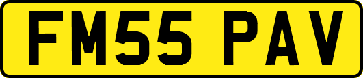 FM55PAV