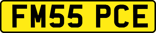 FM55PCE