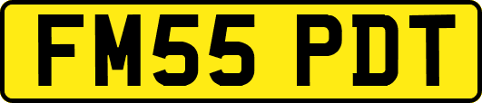 FM55PDT