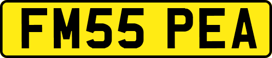 FM55PEA