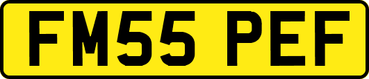 FM55PEF