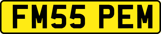 FM55PEM