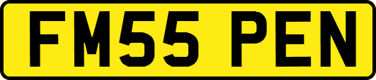 FM55PEN