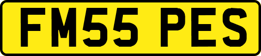 FM55PES